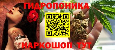 стафф Усть-Джегута